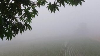 চুয়াডাঙ্গা: মৌসুমের সর্বনিম্ন তাপমাত্রা ৬.৬ ডিগ্রি সেলসিয়াস, শিক্ষাপ্রতিষ্ঠান বন্ধ