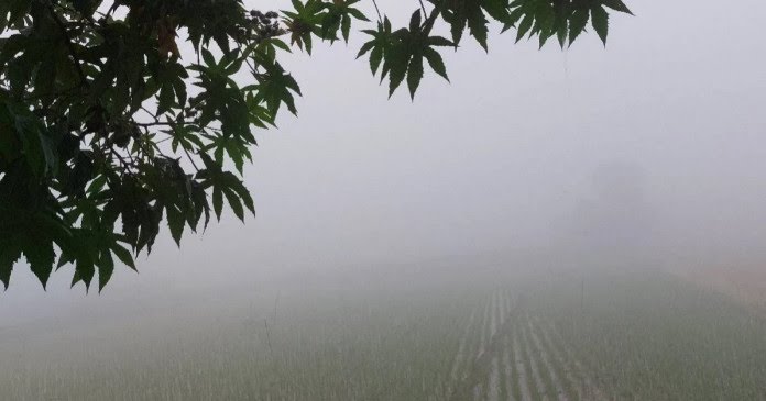 চুয়াডাঙ্গা: মৌসুমের সর্বনিম্ন তাপমাত্রা ৬.৬ ডিগ্রি সেলসিয়াস, শিক্ষাপ্রতিষ্ঠান বন্ধ