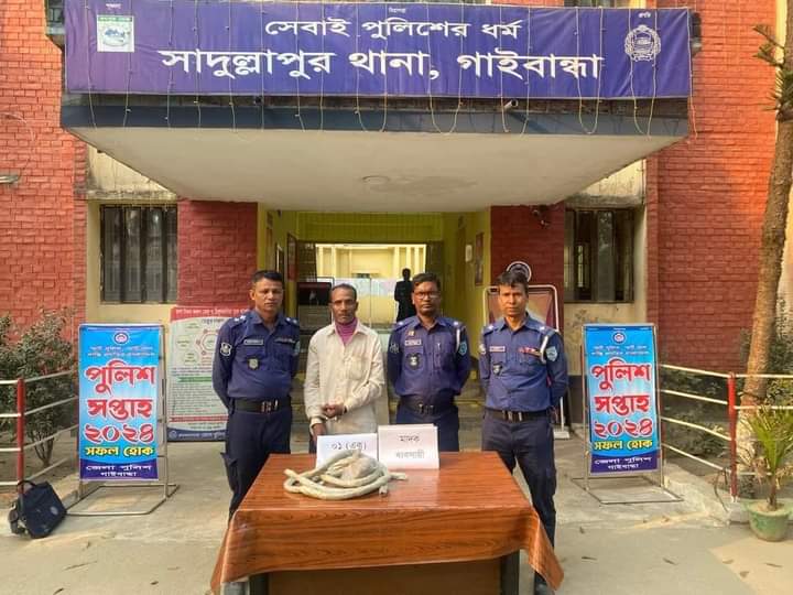 সাদুল্যাপুর উপজেলায় ১ কেজি গাজাঁসহ ১ জন গ্রেফতার