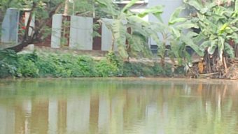 গাজীপুরে দখলকৃত খাসের পুকুর পুনরুদ্ধারের দাবী এলাকাবাসীর 