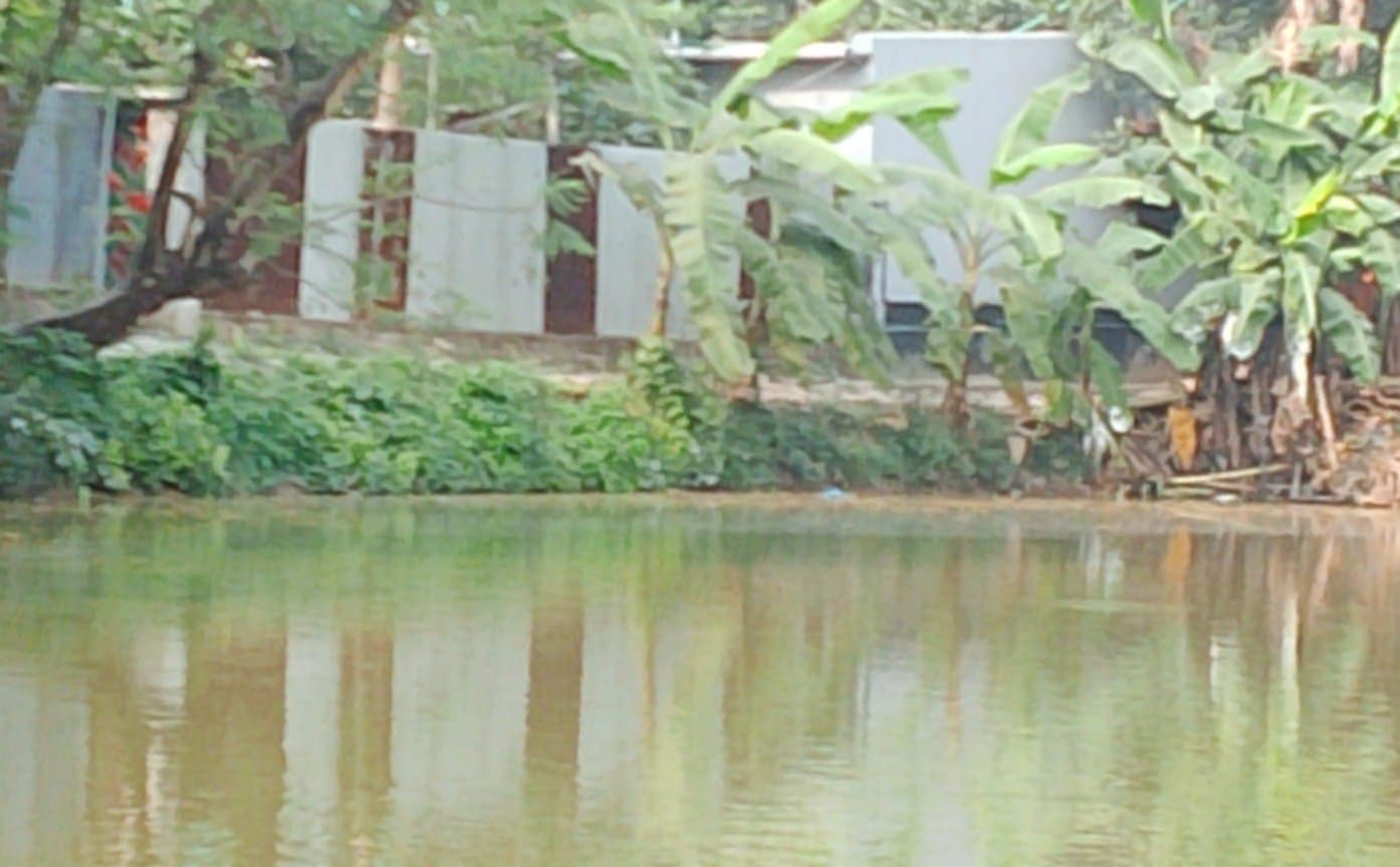 গাজীপুরে দখলকৃত খাসের পুকুর পুনরুদ্ধারের দাবী এলাকাবাসীর 