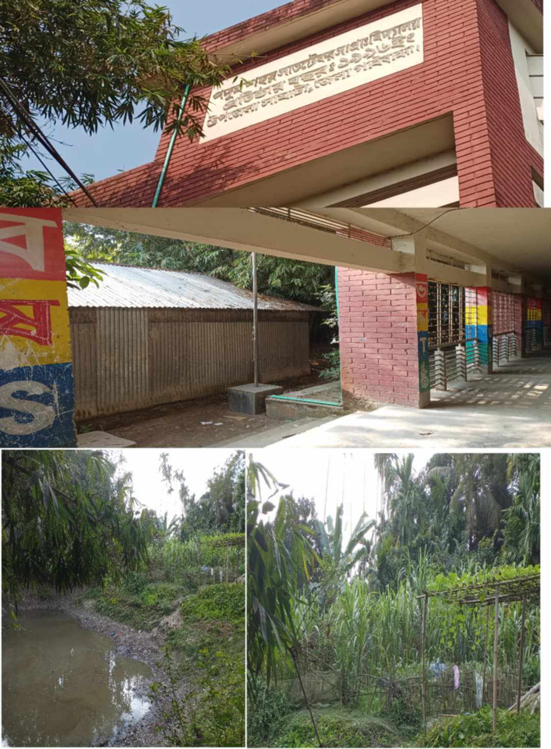 গাইবান্ধায় প্রাথমিক বিদ্যালয়ের জায়গা দখল করে মাছ ও আখ চাষ