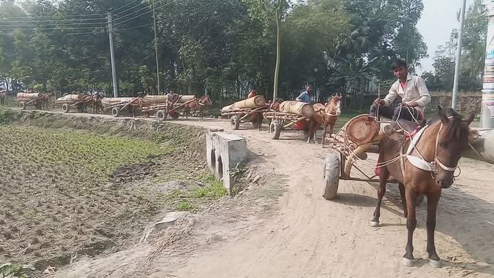 বাহারাম বাদশার সংসার চলে ঘোড়ার গাড়ি চালিয়ে