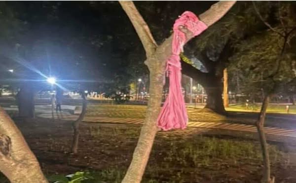 ঢাবি মল চত্বরে এক তরুণীর আত্মহত্যার চেষ্টা।