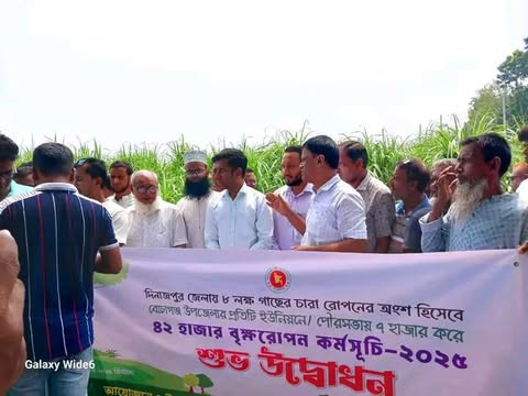 বোচাগঞ্জে বৃক্ষরোপণ কর্মসূচির উদ্বোধন ।