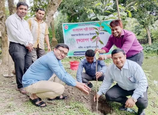 বিআরডিবি’র উদ্যোগে জুলাই পুনর্জাগরণ ও তারুণ্যের উৎসব পালনে বৃক্ষরোপণ কর্মসূচি