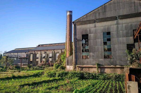 অবহেলা ও যত্নে জর্জরিত সেতাবগঞ্জ চিনিকল