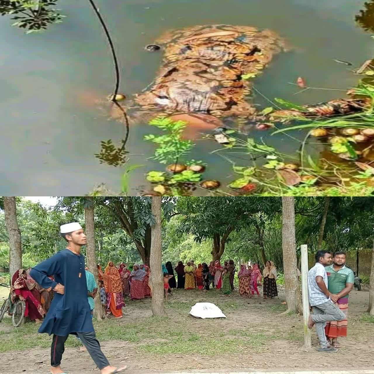 গাইবান্ধায় পুকুরের পানিতে নারীর ভাসমান মরদেহ