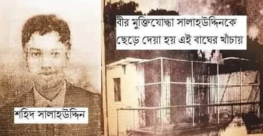 বীর মুক্তিযোদ্ধা শহিদ সালাহউদ্দিনকে পাকিস্থানি সৈন্যরা ছেড়ে দিয়েছিল বাঘের খাঁচায়।