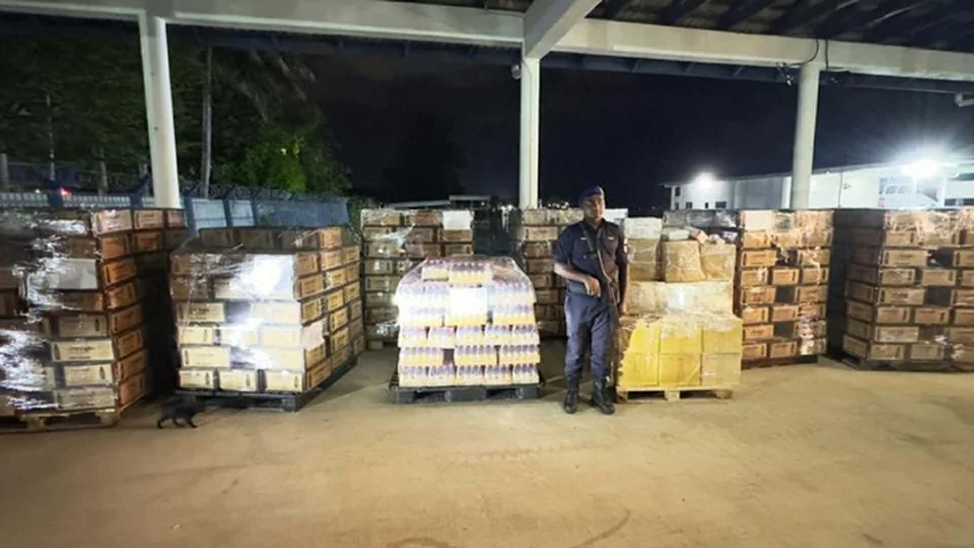 মালয়েশিয়ায় অবৈধ ওষুধের গুদামে হানা, বাংলাদেশি আটক