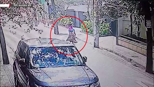 ছদ্মনামে গৃহকর্মীর কাজ নিয়ে সর্বস্ব লুট করাই পেশা এই নারীর।