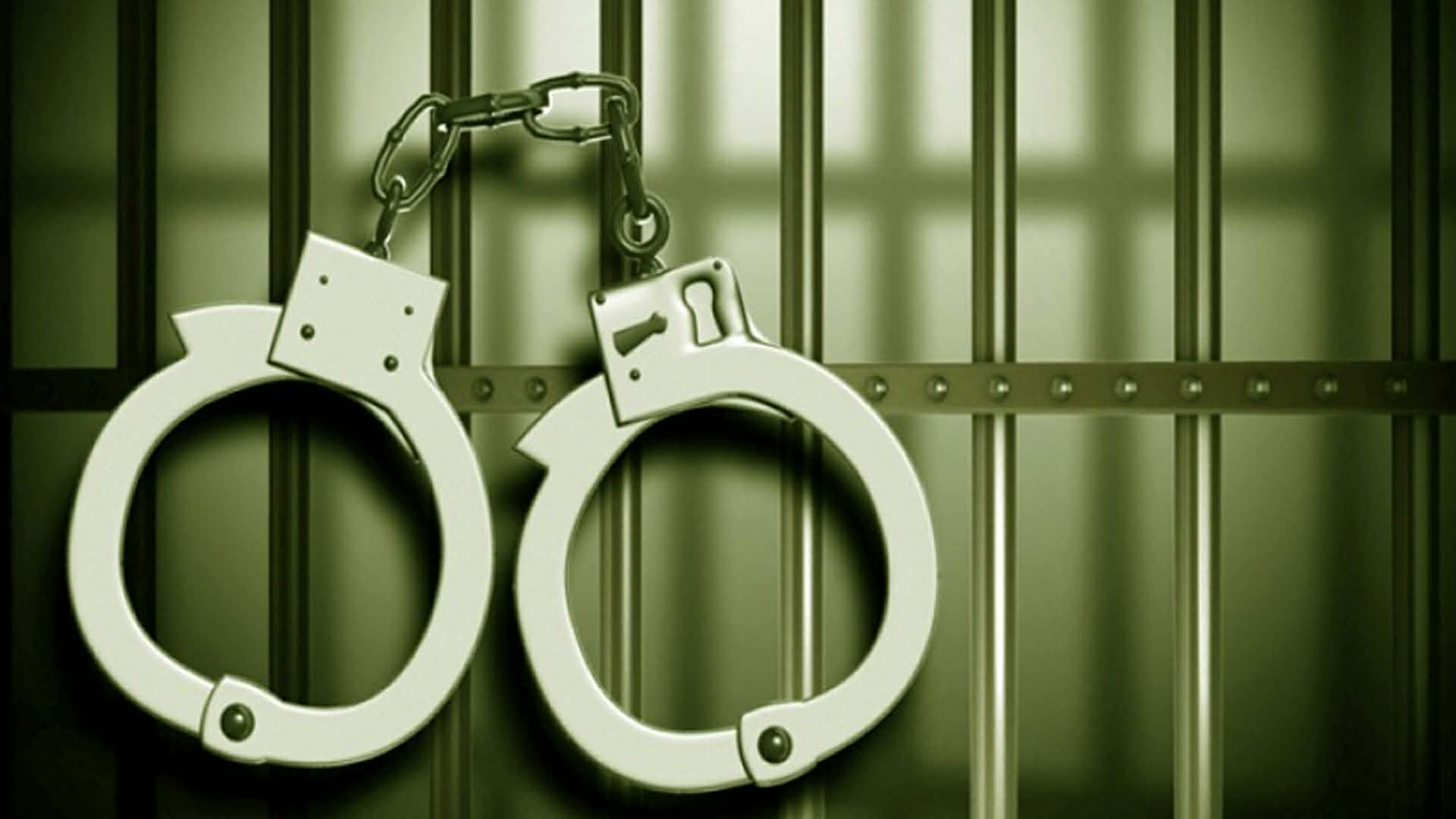 যৌথ অভিযানে সারা দেশে বিপুল অস্ত্র ও মাদক উদ্ধার, গ্রেফতার ৫০৪