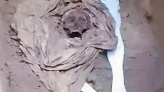 বোনের মরদেহ উত্তোলন করে অন্যত্র দাফন।