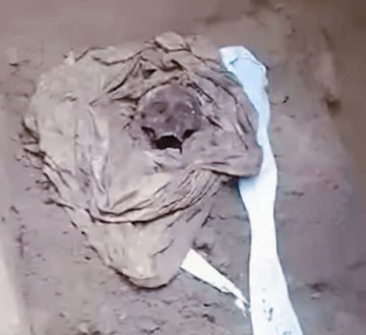 বোনের মরদেহ উত্তোলন করে অন্যত্র দাফন।