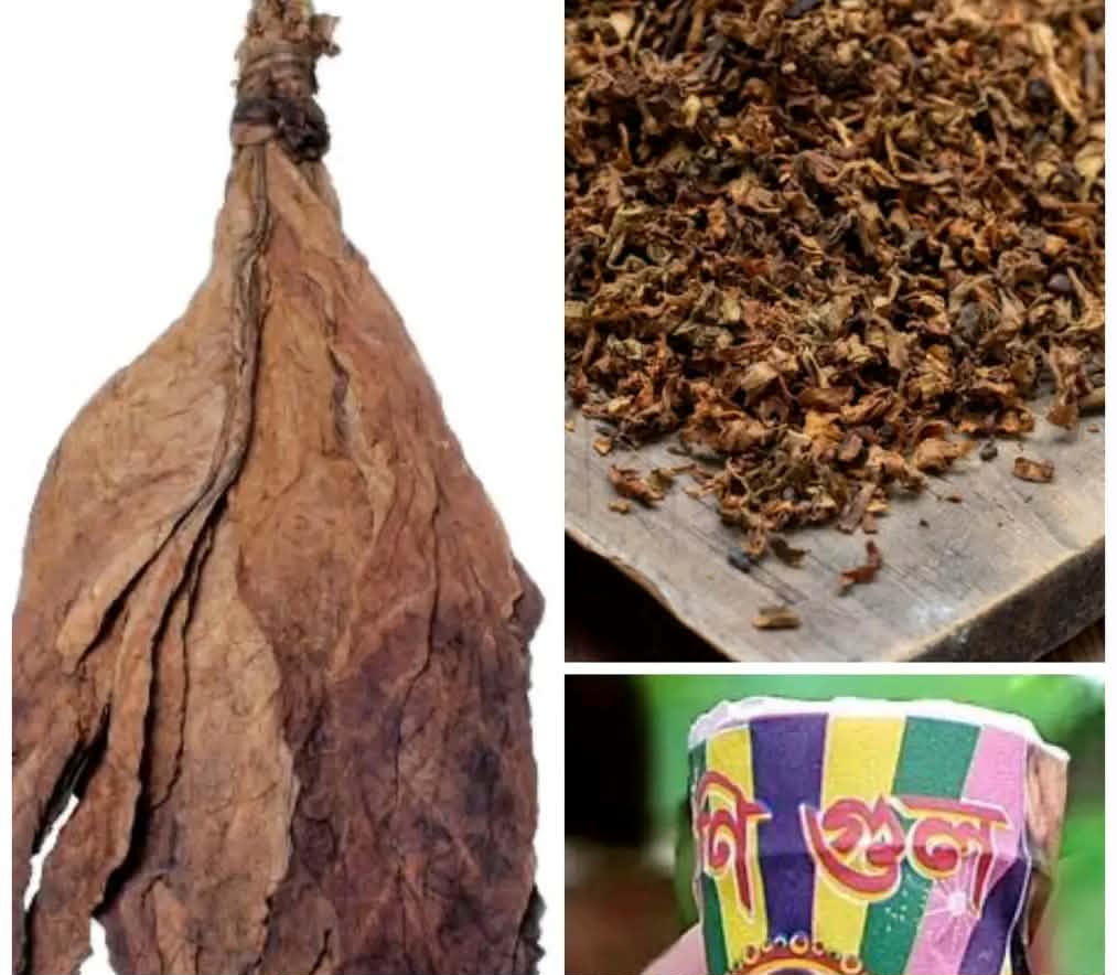 মেইন রোডের ধুলো নয়, নীরব বিষ: রংপুরে তামাক ক্রাসিংয়ের বিস্তার